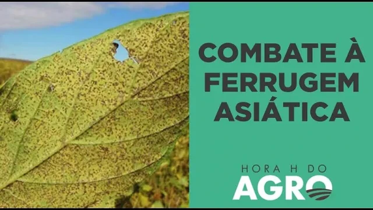 Manejo campeão pelo consórcio antiferrugem I HORA H DO AGRO