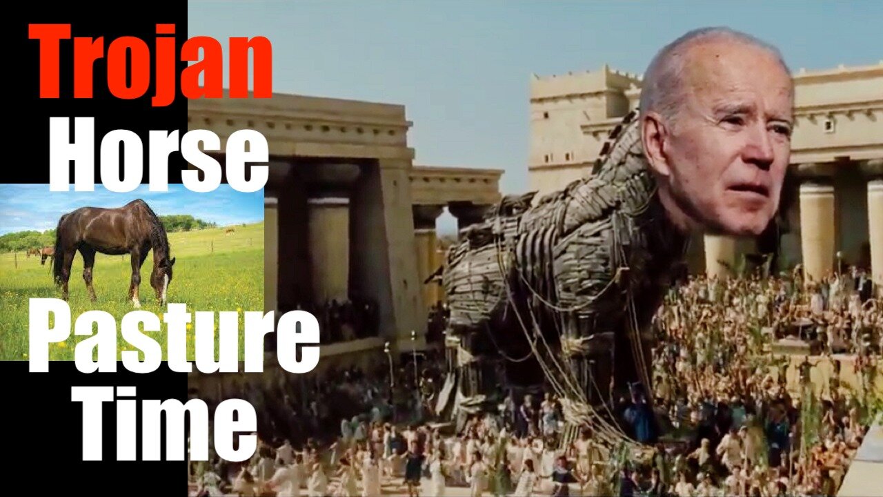 Joe Biden is NOT Well -- Time to Put the Trojan Horse out to Pasture (Proof)