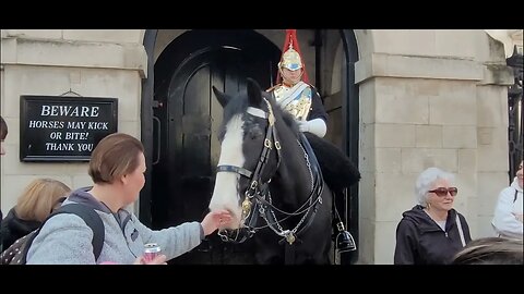 Hand scares horse #horseguardsparade