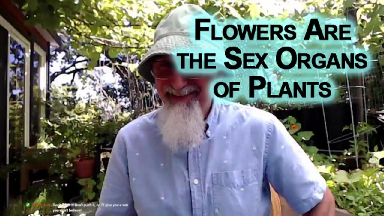 Eating Flowers Is Like Eating the Sex Organs of Plants, and Honey the Juices [ASMR]