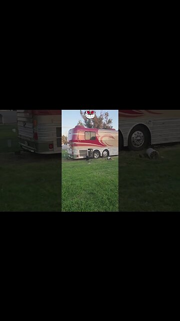 Headed To Florida SOON #travel #florida #bus #repair