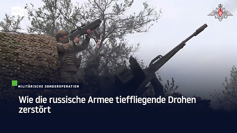 Wie die russische Armee tieffliegende Drohnen zerstört