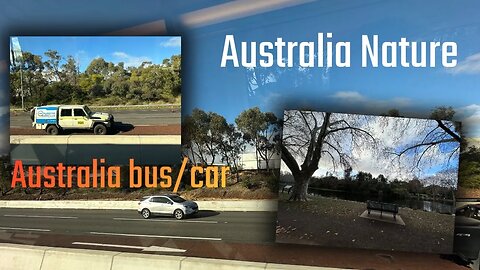 Australia जहा नेपाल जस्तै हरियाली वन छ | Australia nature,Road & Bus