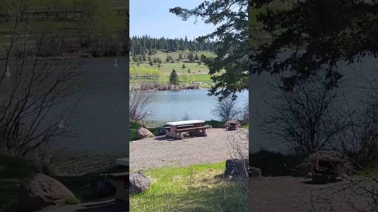 getting ready to piant tables at chimney Lake Campground #camping #campinglife #nature #lake #lakes