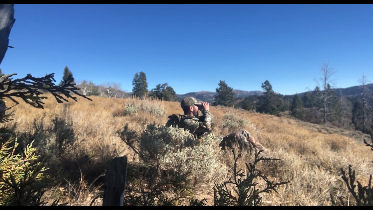 Elk Muzzleloader Oct 31 2020 - Hunting on Halloween