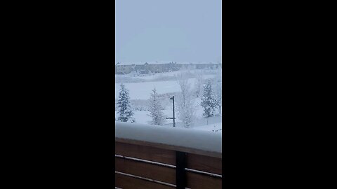 Snow weather Alberta