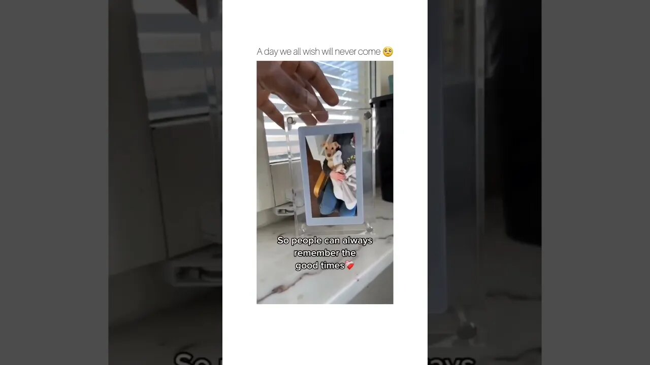 Live Motion Frame