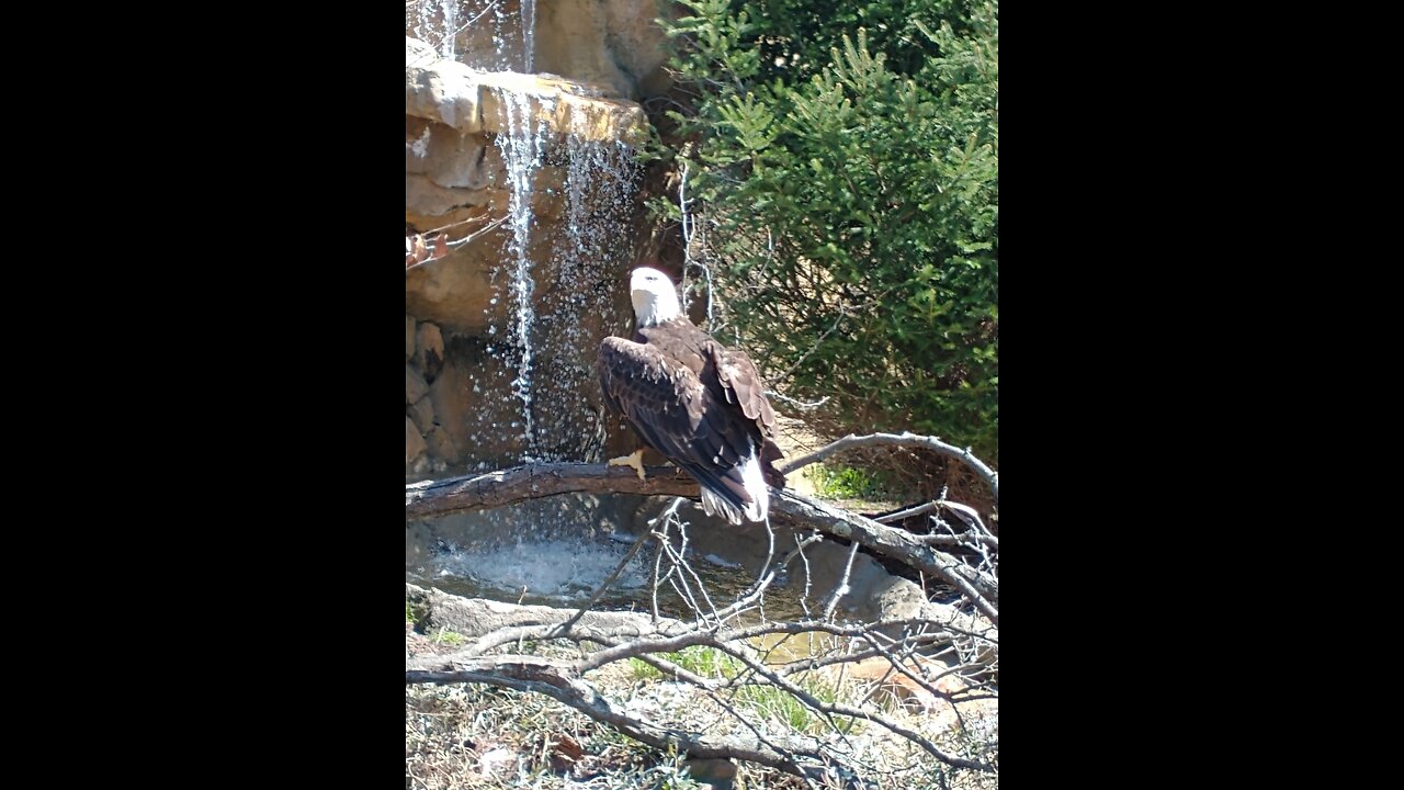 July 7 - Painful preparation