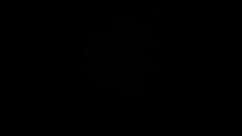 How to pronounce cheesecake