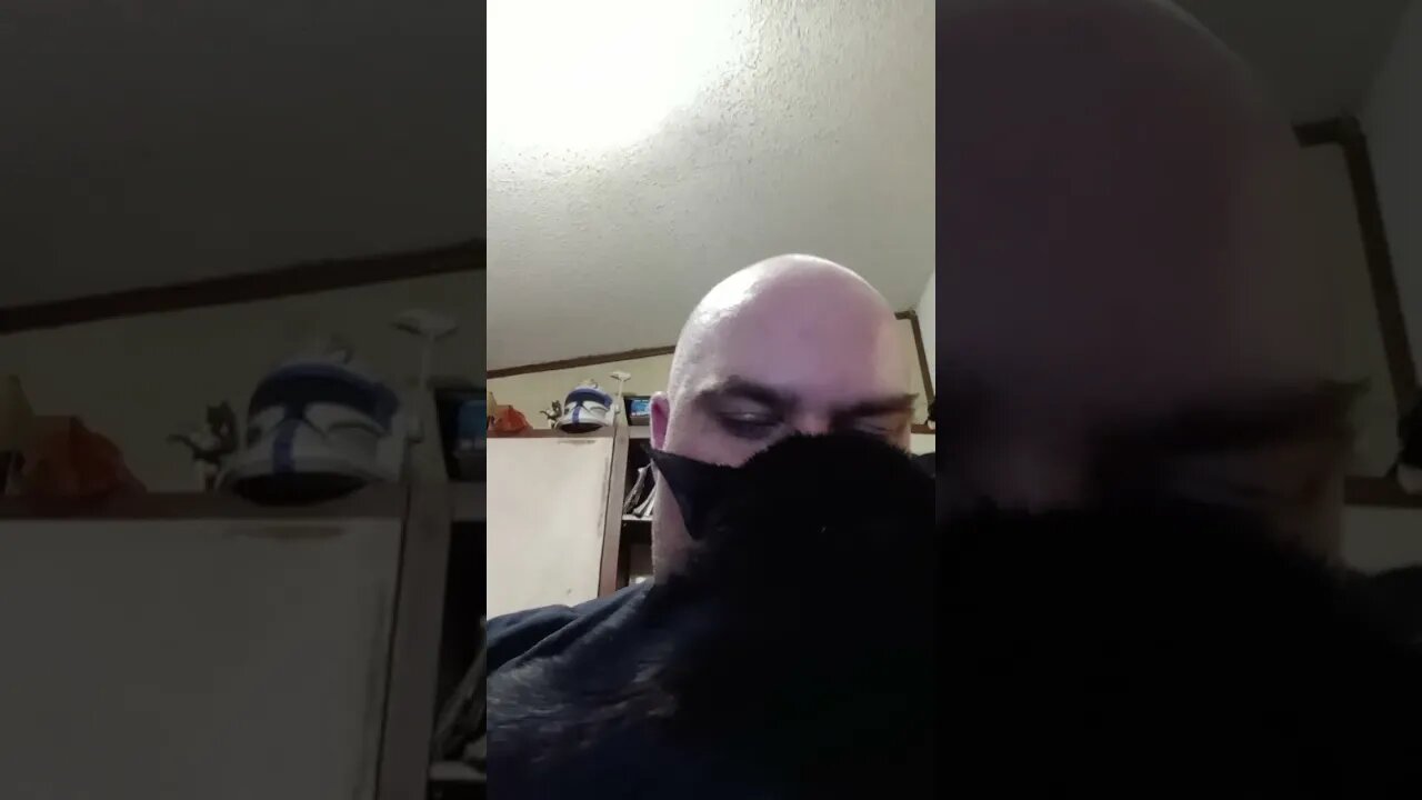 kitty snuggles #shortsvideo #shortsfeed #youtubeshorts #catvideos #cat