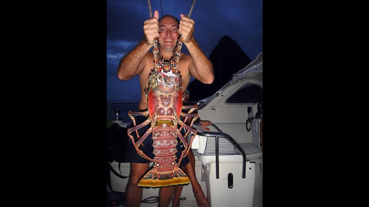 Amazing Catching a Giant Lobster and Giant Squid Underwater