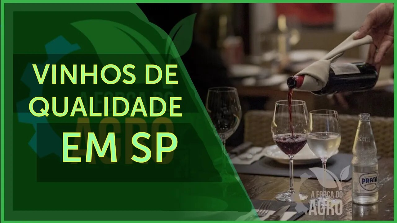 Estado produz uvas especiais para vinho e também de mesa
