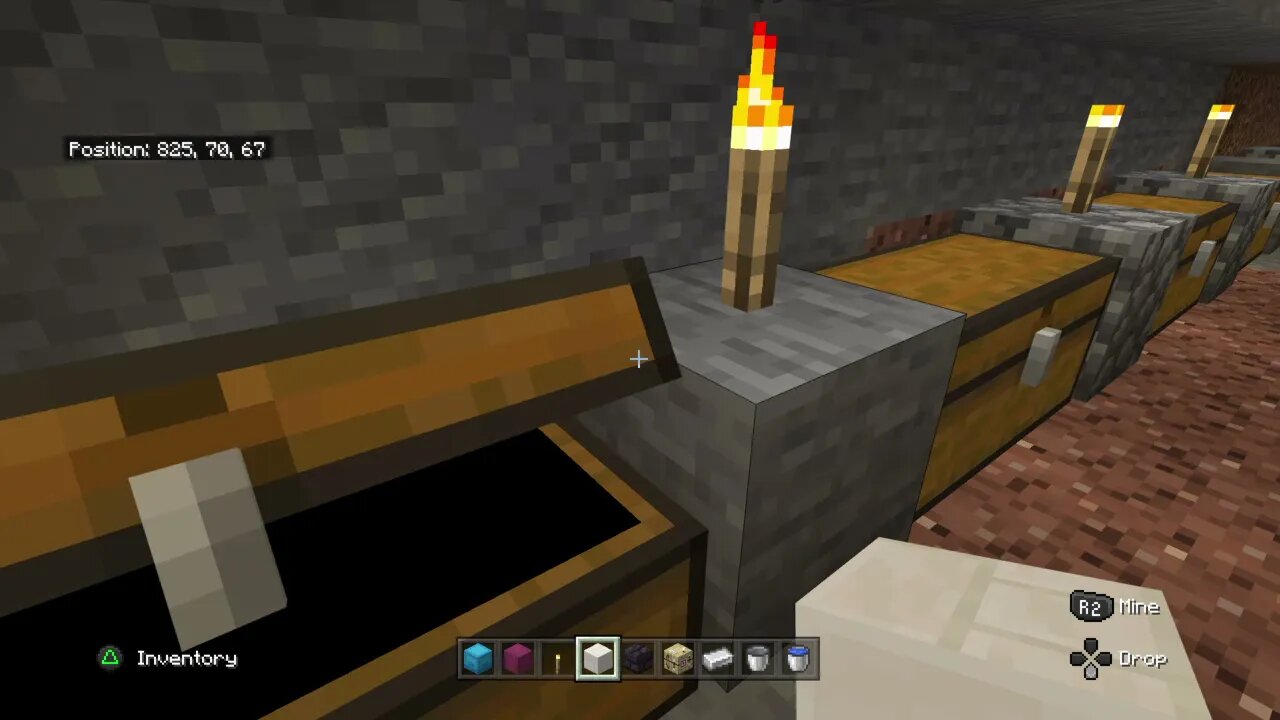 Minecraft Part 5-Tree Farm Seed Space