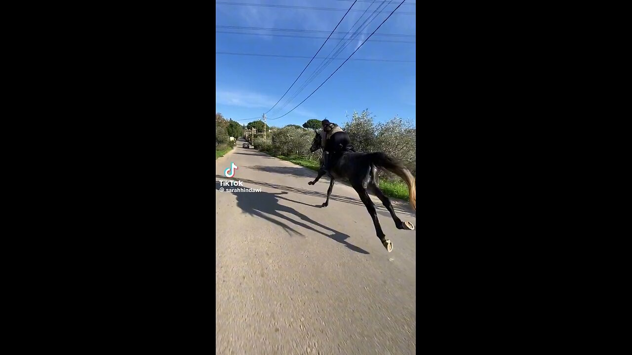 Car with horse race