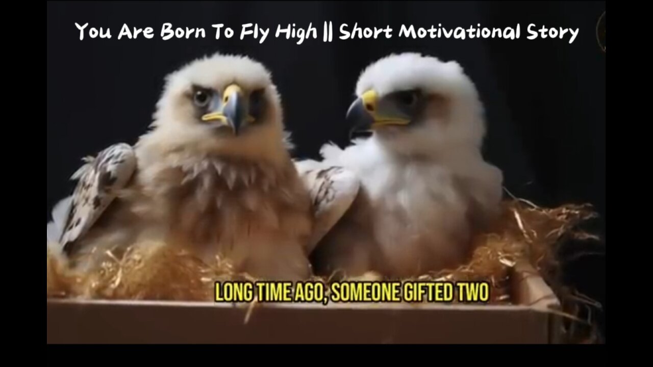 You Are Born To Fly High || Short Motivational Story