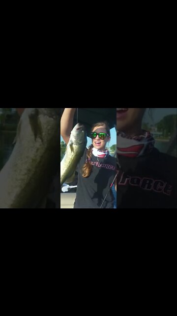 Catching Fish Next to Tower of Terror #Shorts