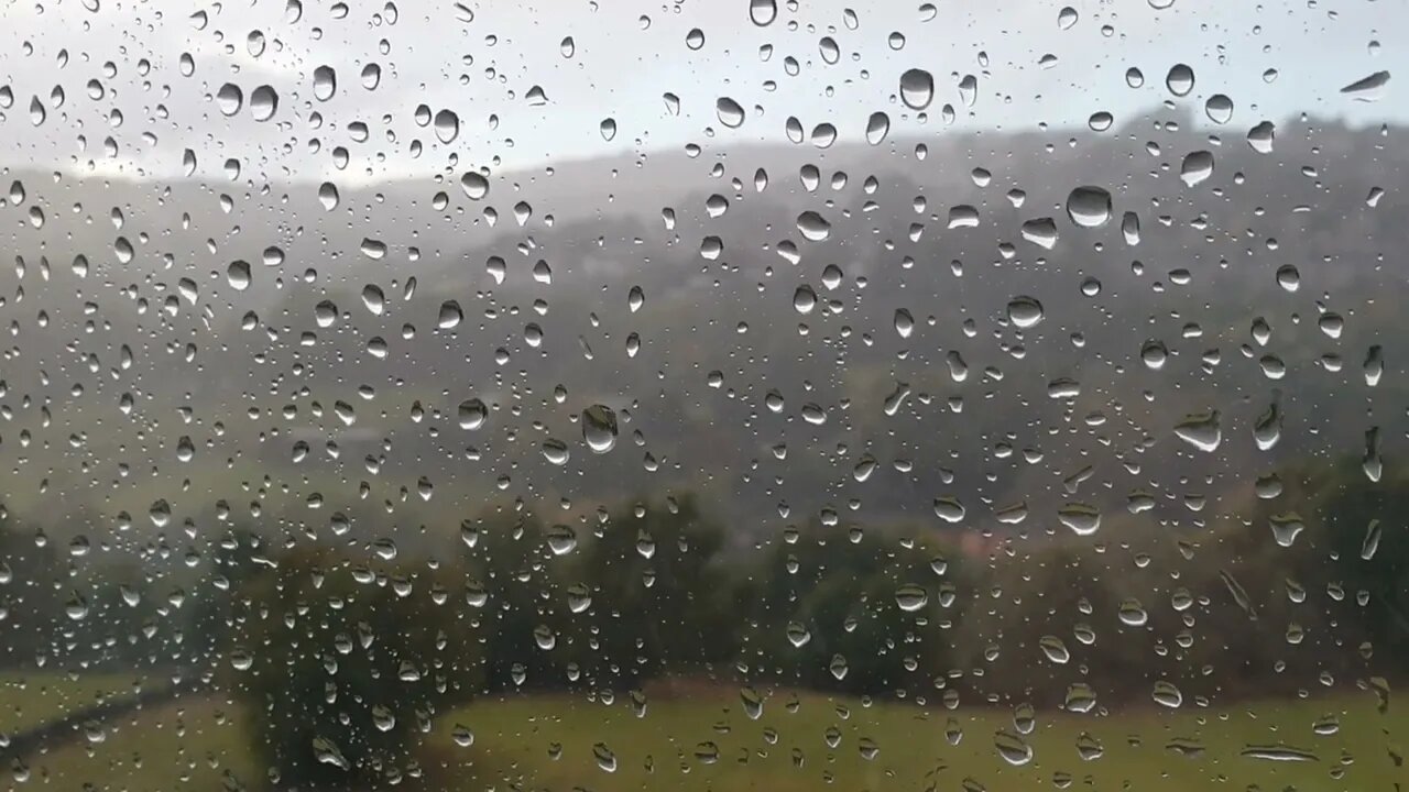 Rainy Day #short