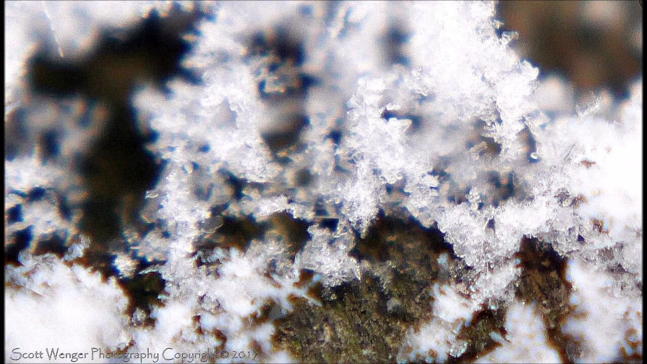 Up Close SnowFlakes - Scott Wenger Photography