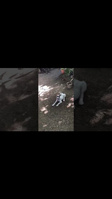 How can she disappear