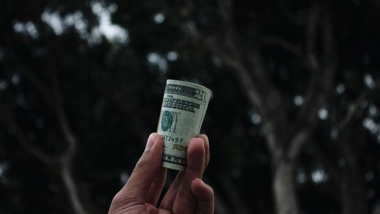 1 in 3 think they have a way to strike it rich