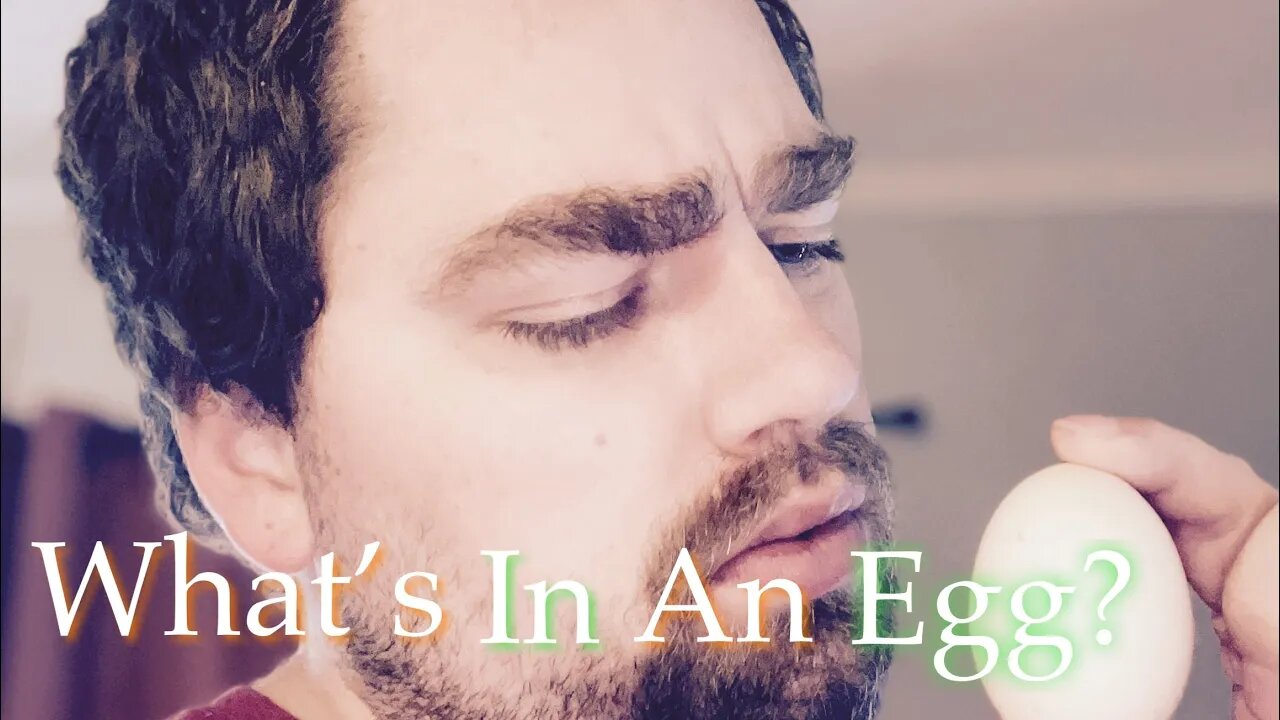What’s in an Egg | Sovereign Provisions