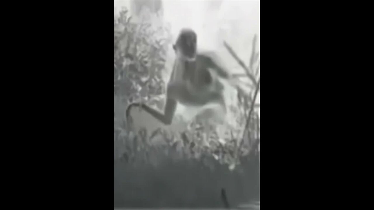 the jealous flying ET GOD ruling us - the CONEHEADS ! #shorts