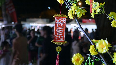 Vietnamese Tet Hội Chợ Tết Mậu Tuất Chinese New Year Celebration Perth Australia