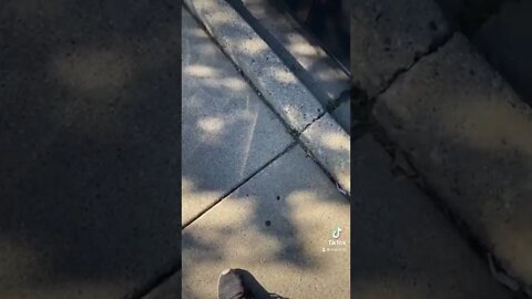 I found lucky coin on the street. #lucky #finderskeepers #crypto