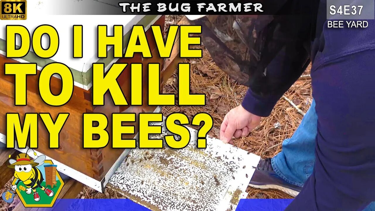 I don't want to do this. | Seasonal mite check and OA Treatment #beekeeping #insects #beekeeping101