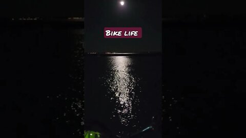 Bike Life Cape Cod Provincetown MA