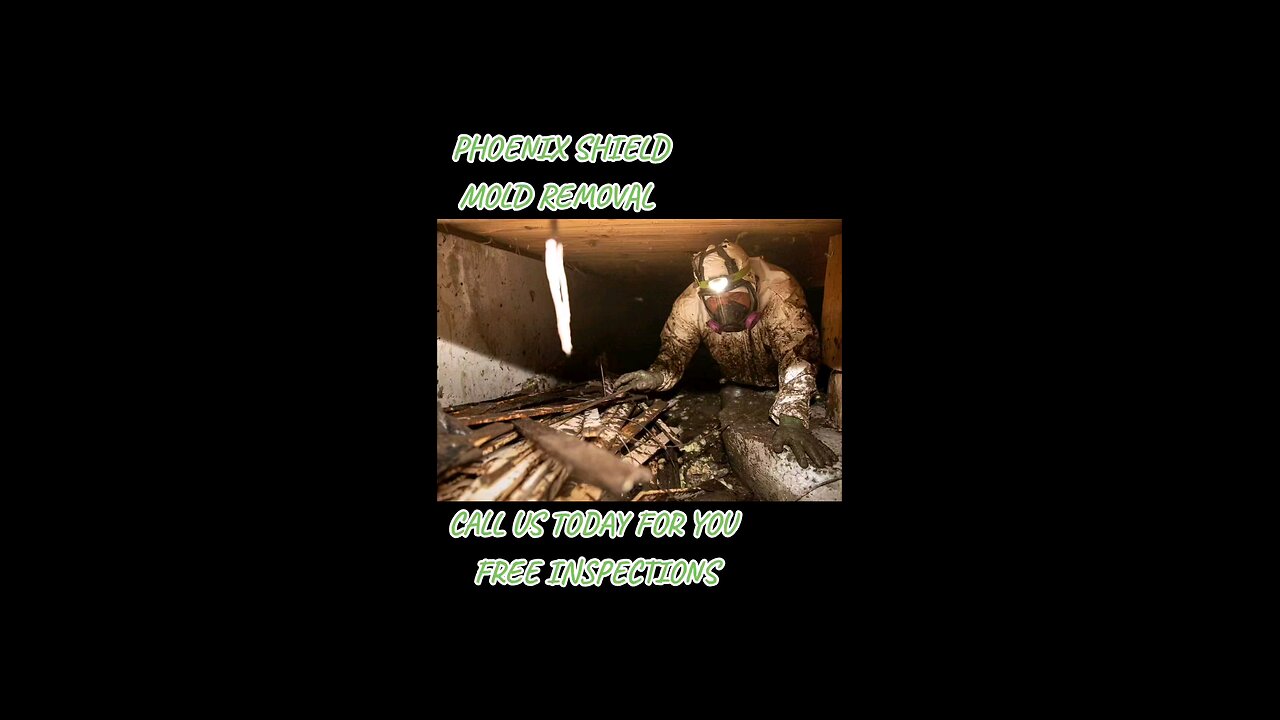 Phoenix Shield Mold Removal