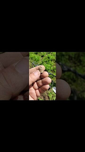 metal fingertip #metaldetecting #shorts