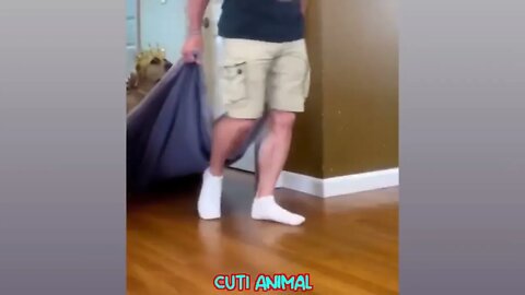 Funny Dog And Cat 😍🐶😻 Funniest Animals #143 6