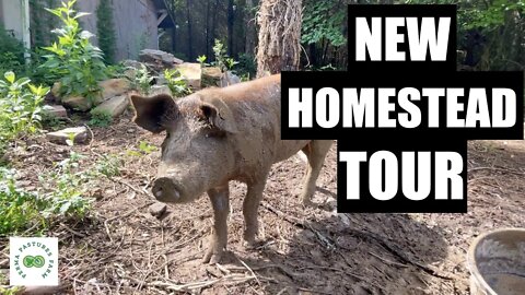 After a 2 Year Search, They Found Land! // Kraemer Life