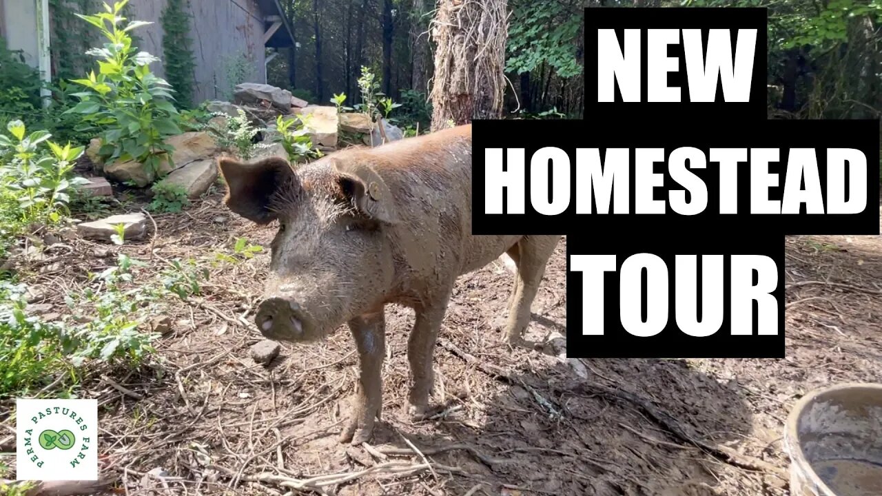 After a 2 Year Search, They Found Land! // Kraemer Life