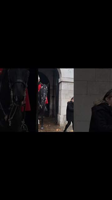 The look on her face the horse slobbered over her hand #horseguardsparade