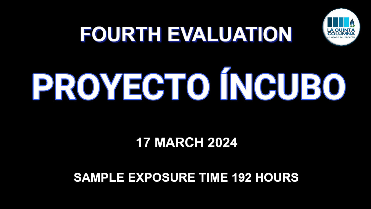 “INCUBUS” PROJECT - FOURTH EVALUATION