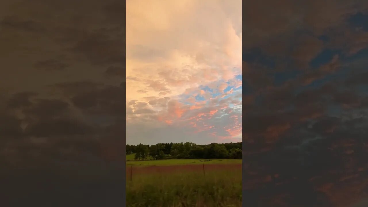 I love living in the country.