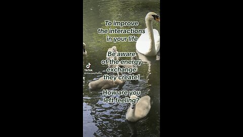 Who’s the energy vampire in your life? #energy #energyvampires #swans #tarotary #tarotinsights