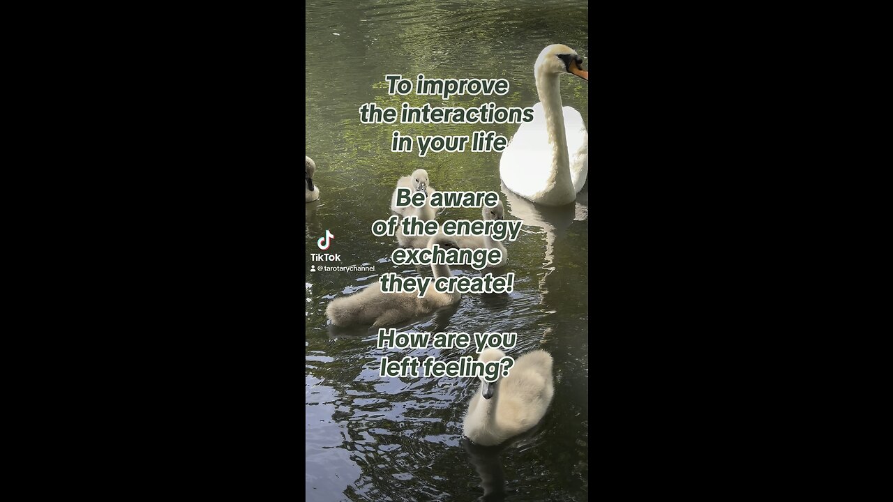 Who’s the energy vampire in your life? #energy #energyvampires #swans #tarotary #tarotinsights