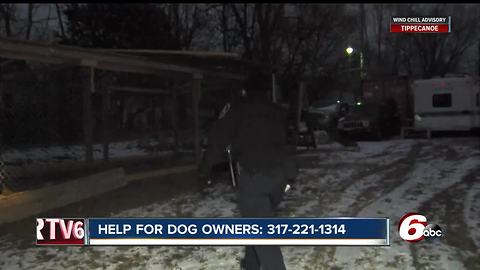 IACS overwhelmed by calls from people reporting pets left in the cold