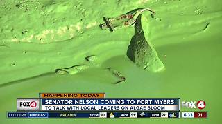 Experts say red tide and algae blooms cause health risks