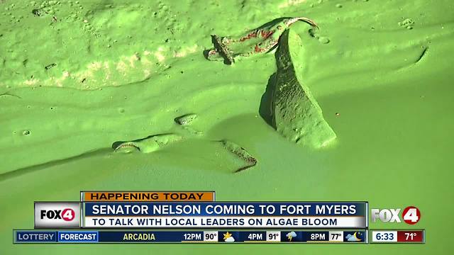 Experts say red tide and algae blooms cause health risks