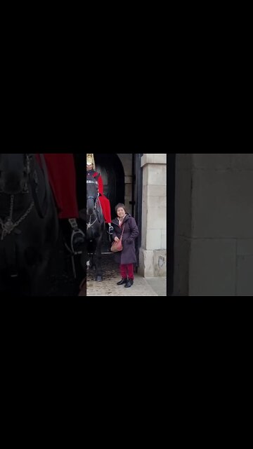 horse 😱 scares her #horseguardsparade