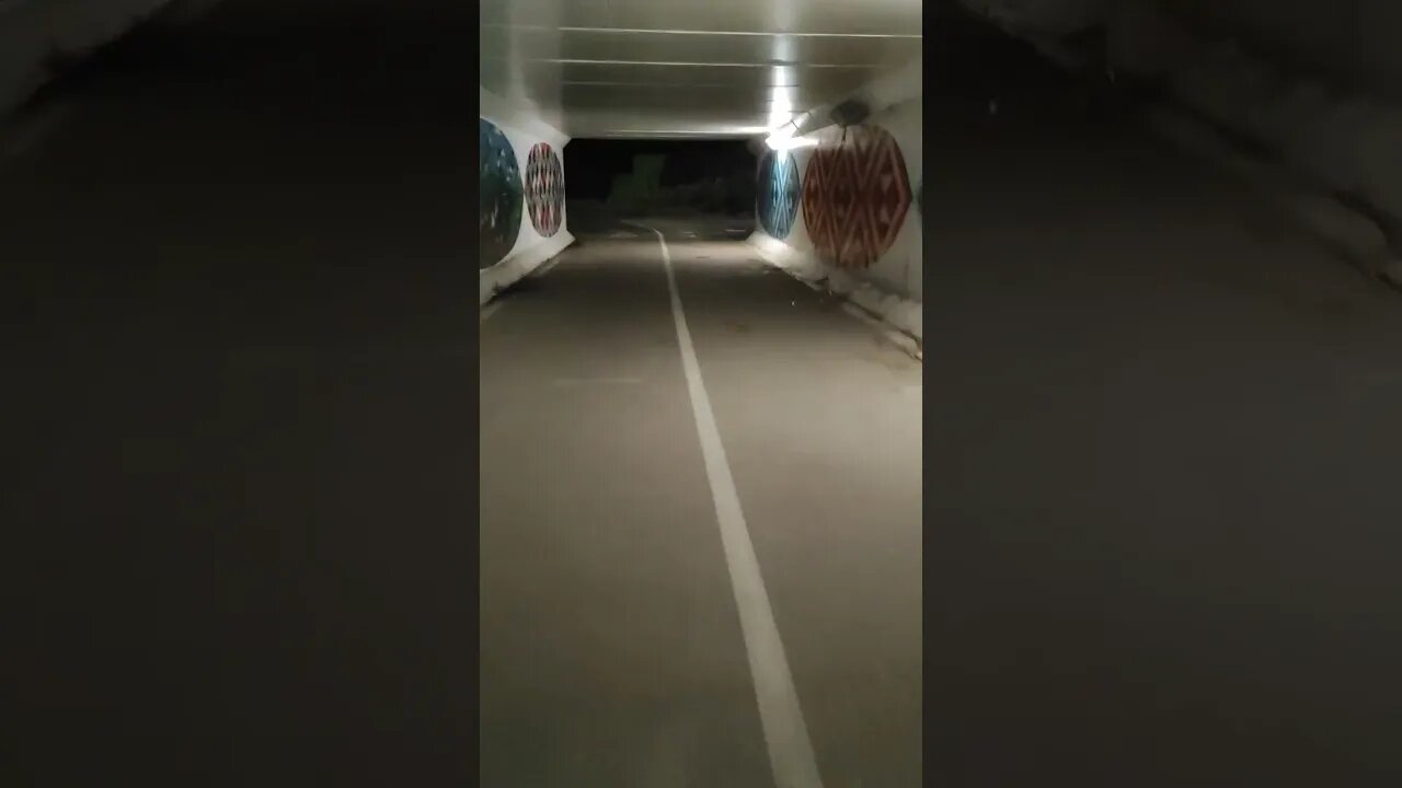 Te Atatu bike path underpass under Te Atatu road