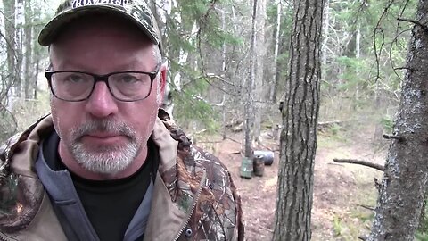 Manitoba Bear Hunting - Quest for Blonde Bear Grand Slam