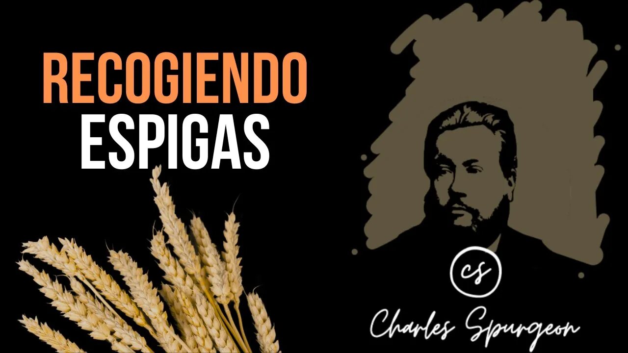 Recogiendo espigas (Rut 2:2) Devocional de hoy Charles Spurgeon