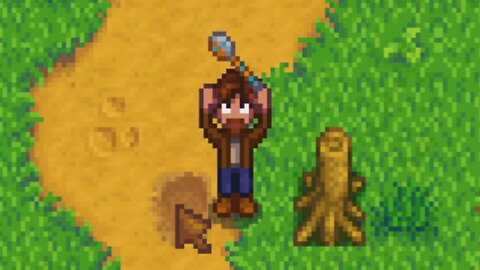 Stardew Valley - Archaeology(Reupload)