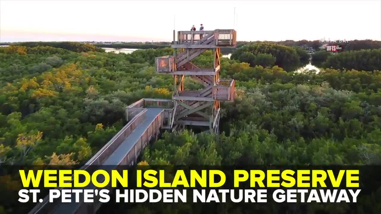 Weedon Island Preserve: St. Pete's hidden nature getaway | Taste and See Tampa Bay