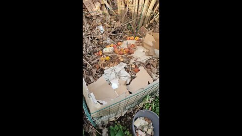 Compost heap - Day 1 #shorts